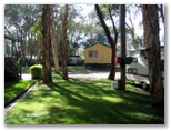 Sapphire Beach Holiday Park - Coffs Harbour: Lots of trees and shade.