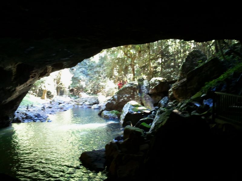 Natural Bridge Springbrook National Park - Springbrook: Looking out of the cave