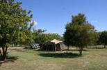 Pelican Rest Tourist Park - St George: Area for tents and camping 