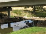 Swan Brook Rest Area - Stannifer: Swan Brook flowing under the bridge.