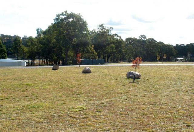 Sommerville Valley Tourist Park - Stanthorpe: Area for tents and camping 
