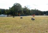 Sommerville Valley Tourist Park - Stanthorpe: Area for tents and camping 