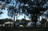 Sommerville Valley Tourist Park - Stanthorpe: Powered sites for caravans in bushland setting