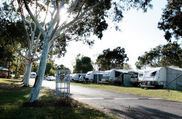 Stanthorpe Top of Town Accommodation Village - Stanthorpe: Powered sites for caravans