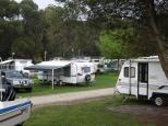 Stony Point Caravan Park - Stony Point: Shady powered sites for caravans 