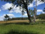 Strathbogie Cemetery - Strathbogie: Lovely view from the back of the cemetery.