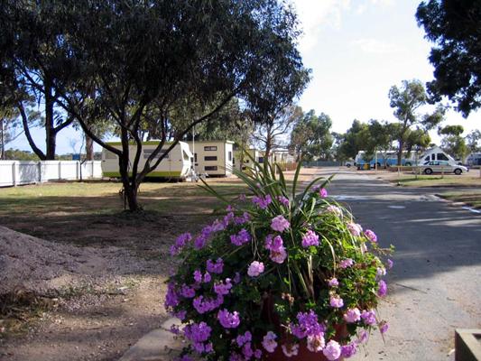 Streaky Bay Foreshore Tourist Park - Streaky Bay: Good paved roads throughout the park