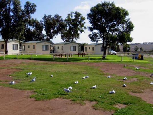 Streaky Bay Foreshore Tourist Park - Streaky Bay: Cottage accommodation, ideal for families, couples and singles