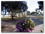 Streaky Bay Foreshore Tourist Park - Streaky Bay: Good paved roads throughout the park