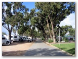 Streaky Bay Foreshore Tourist Park - Streaky Bay: Powered sites for caravans