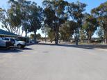 Streaky Bay Foreshore Tourist Park - Streaky Bay: Beach front sites on RHside
