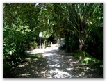 Suffolk Beachfront Holiday Park - Suffolk Park: Plenty of trees and shady paths