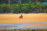 Hall Point - Sulphur Creek: Ride a horse on the beach