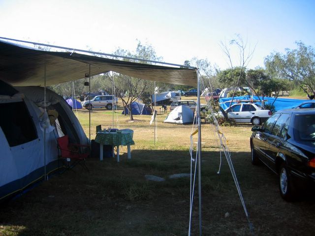Coolum Beach Caravan Park - Coolum Beach: Plenty of room for tents and campers