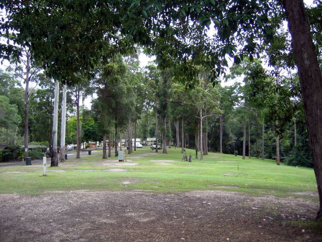 BIG4 Forest Glen Holiday Resort - Forest Glen: Lots of open space in a beautiful bushland setting