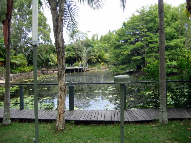 BIG4 Maroochy Palms Holiday Village - Maroochydore: Lake within the park