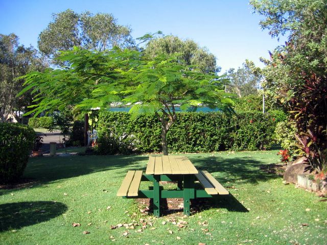 Mudjimba Beach Caravan Park - Mudjimba: One of many picnic tables throughout the park