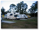 Noosa River Caravan Park - Noosaville: Powered sites for motor homes