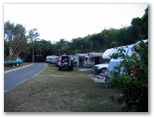 Noosa River Caravan Park - Noosaville: Powered sites for caravans