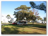 Swan Hill Holiday Park - Swan Hill: Powered sites for caravans