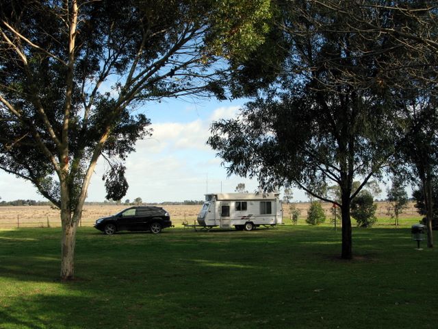 Pental Island Caravan Park - Swan Hill: The park has beautiful rural views