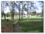 Swansea Gardens Lakeside Holiday Park - Swansea: Area for tents and camping
