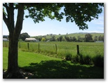Swifts Creek Caravan and Tourist Park - Swifts Creek: Gentle hills and rolling countryside.
