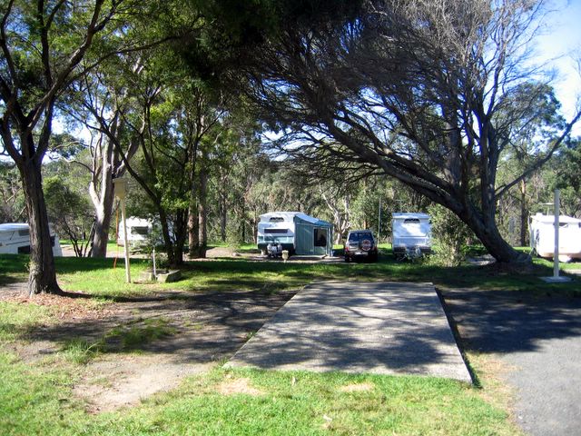 Lane Cove River Tourist Park - Macquarie Park: Powered sites for caravans