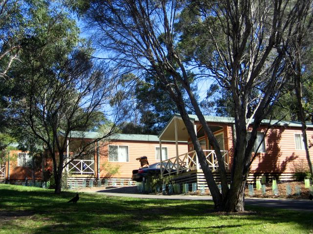 Lane Cove River Tourist Park - Macquarie Park: Cottage accommodation ideal for families, couples and singles