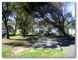 Lane Cove River Tourist Park - Macquarie Park: Powered sites for caravans