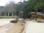 Lane Cove River Tourist Park - Macquarie Park: Gorgeous beach and park at Chowder Bay on Sydney Harbour