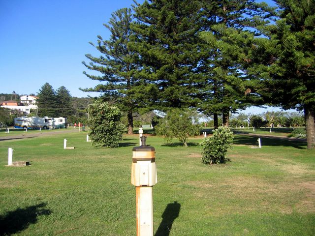 BIG4 Sydney Lakeside Holiday Park - Narrabeen: Powered sites for caravans with beautiful Norfolk Island pines