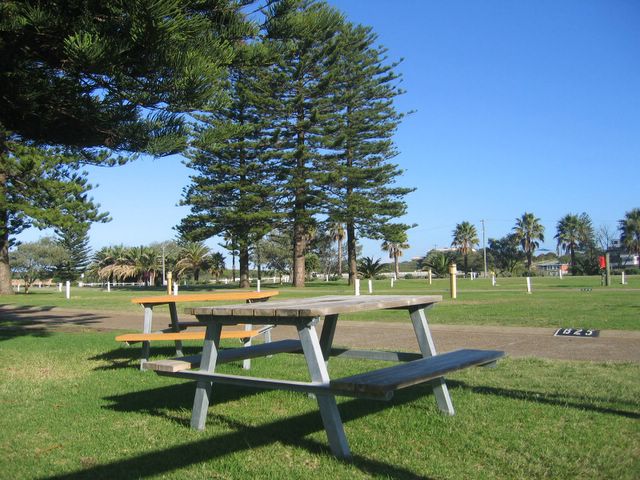 BIG4 Sydney Lakeside Holiday Park - Narrabeen: Picnic area with view of powered sites