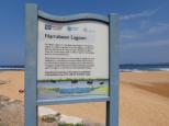 BIG4 Sydney Lakeside Holiday Park - Narrabeen: Narrabeen rock pool safe swimming lagoon