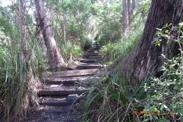 Lake Tabourie Tourist Park - Tabourie Lake: THE WALK UP IS MOSTLY LIKE THIS OR STEEPER,YOU NEED TO BE REASONABLY FIT WITH GOOD KNEES,ESPECIALLY GOING BACK DOWN