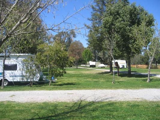 Austin Tourist Park - Tamworth: Shady powered sites for caravans