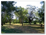 Tamworth Golf Course - Tamworth: Tamworth Golf Course has magnificent trees