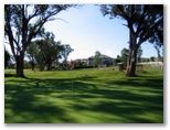 Longyard Golf Course - Tamworth: Green on Hole 3
