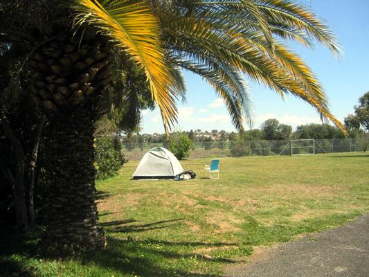 BIG4 Paradise Tourist Park - Tamworth: Area for tents and camping