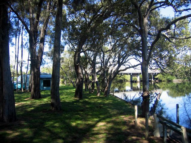 Dawson River Tourist Park - Taree: Powered sites for caravans with view of the river and bridge