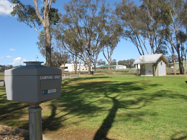 Temora Airfield Tourist Park - Temora: Area for tents and camping