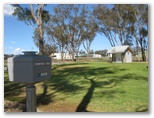 Temora Airfield Tourist Park - Temora: Area for tents and camping