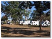 Tiaro Memorial Park - Tiaro: Camping area with gravel roads.