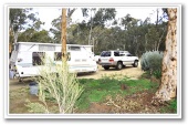 Toodyay Holiday Park & Chalets (formerly Moondyna Caravan Park) - Toodyay: Powered sites for caravans