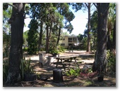 Serenity Caravan Park - Toogoom: Picnic table and BBQ