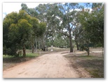 Wash Tomorrow Caravan Park - Toolondo: Road leading from the office to the park.