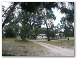Wash Tomorrow Caravan Park - Toolondo: The park has a mix of annuals and tourist sites.