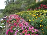 BIG4 Toowoomba Garden City Holiday Park - Toowoomba: Amazing gardens at Spring Bluff.