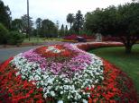 BIG4 Toowoomba Garden City Holiday Park - Toowoomba: Spectacular colours at the Queens gardens.