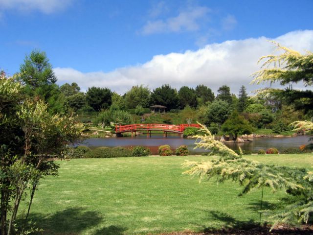 Japanese Garden - Toowoomba: The red bridges contrast sharply with the lush green of the gardens